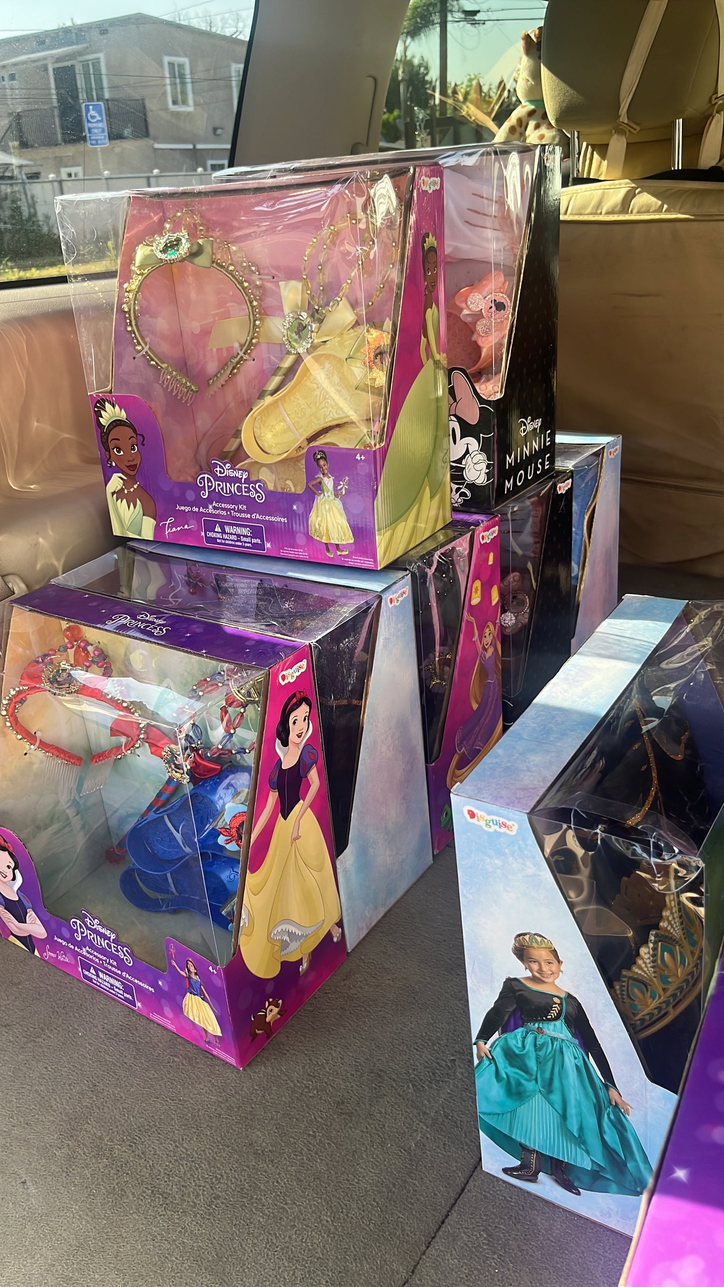 Princess accesorios